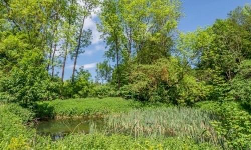 Ferienhaus Kurt Elbingerode  Zewnętrze zdjęcie